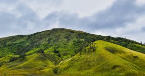 Bukit Teletubbies Bromo