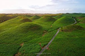 Gunung Bagus Paliyan