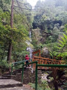 Air Terjun Umbul Songo