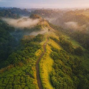 Bukit Campuhan di Bali