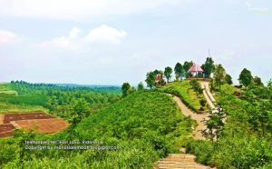 Bukit Teletubbies di Blitar