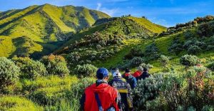 Gunung Merbabu