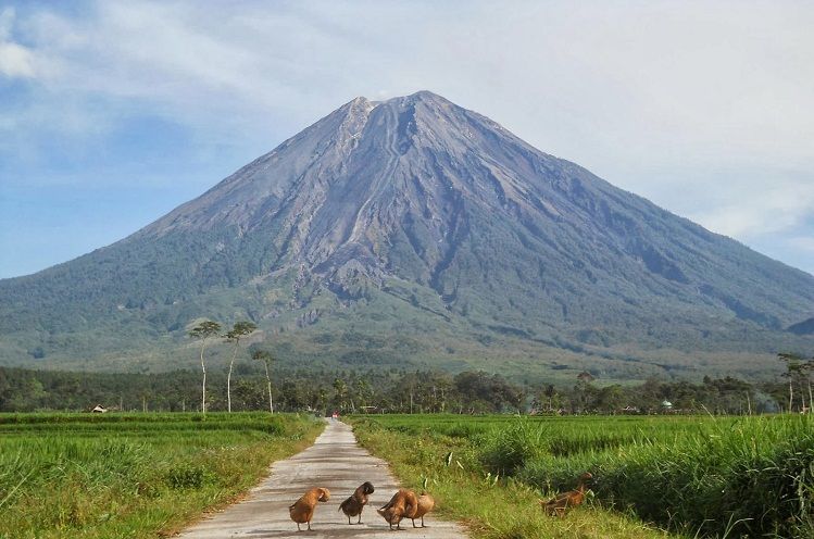 6 Gunung Tertinggi di Indonesia yang Menakjubkan