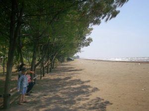Pantai Joko Tingkir