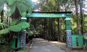 Taman Nasional Gunung Halimun Salak