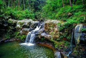 Tempat wisata di Pemalang Bernuansa Alam dan bikin Memukau