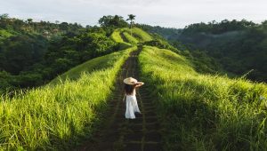 Bukit Campuhan di Bali