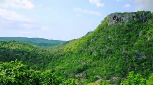 Bukit Mandoo di Rote, Nusa Tenggara Timur