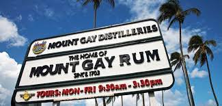 10 Hal Yang Harus Anda Ketahui Tentang Mount Gay Rum